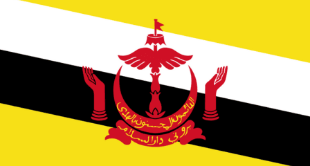 Brunei Darussalam flag
